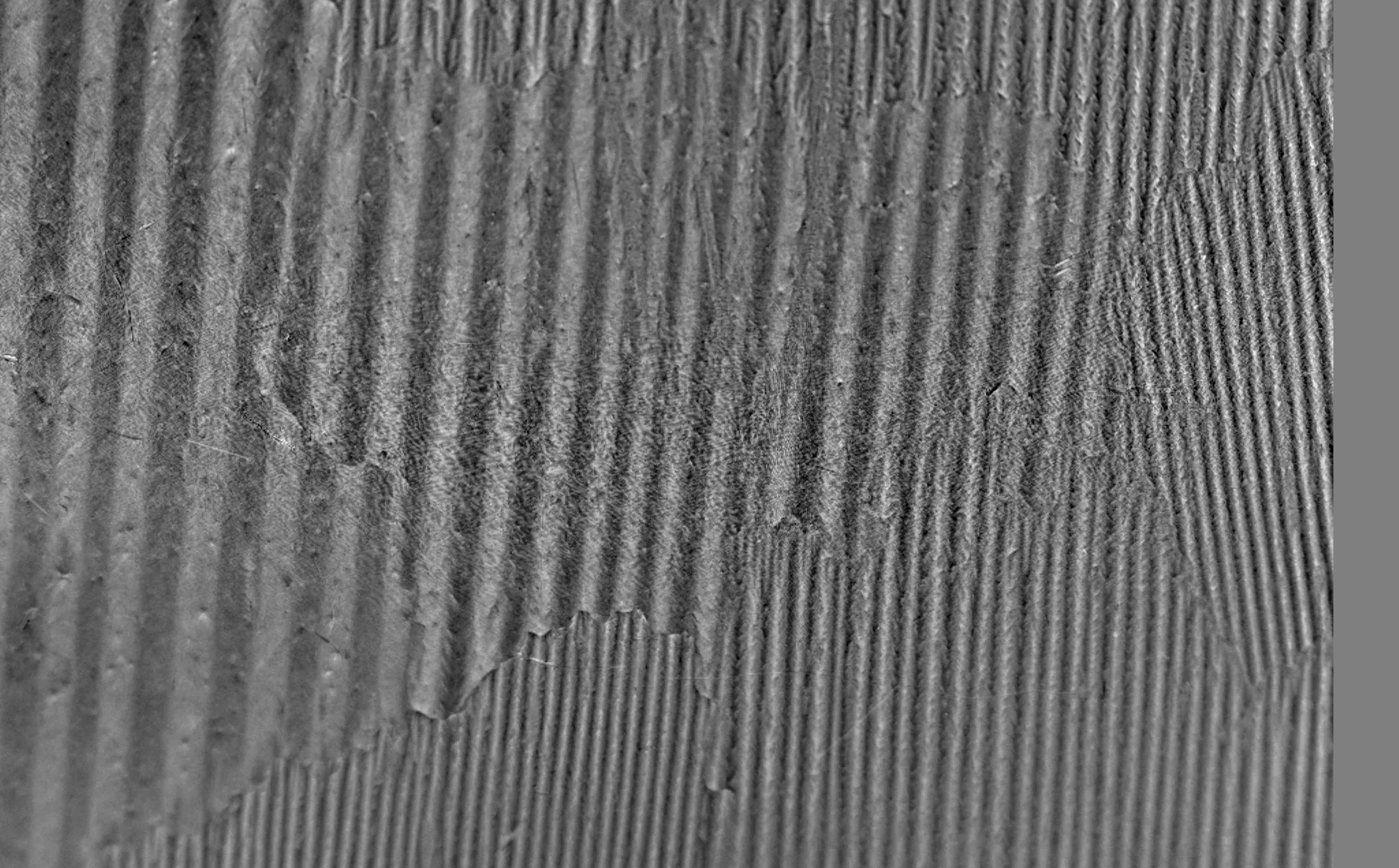 Magnetic domains and domain walls in grain-oriented electrical steel, revealed by magnetic imaging.
