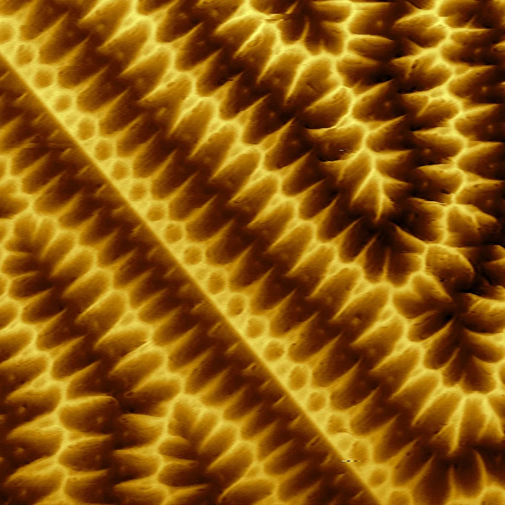 Magnetic domain structure in a ferrite-garnet film — bright and dark regions of opposite magnetization meeting at domain walls.